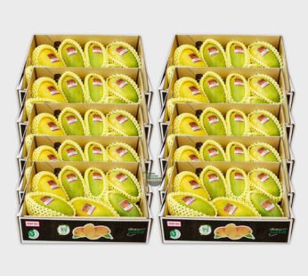 Bulk, Chaunsa Mango (Wholesale Rate)