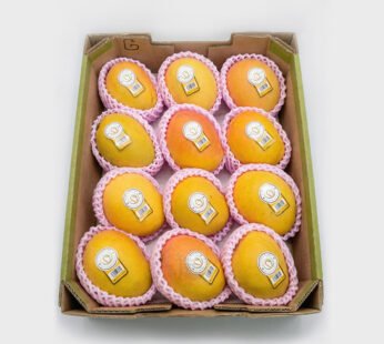 Australian Kensington Mango (5kg Box)