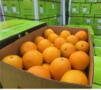 Australian Mango 1 Case 88 Count GRADE 1